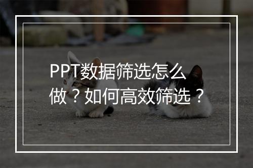 PPT数据筛选怎么做？如何高效筛选？