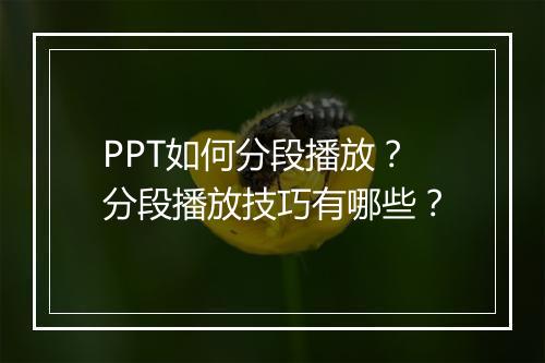 PPT如何分段播放？分段播放技巧有哪些？