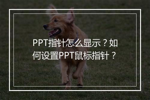 PPT指针怎么显示？如何设置PPT鼠标指针？