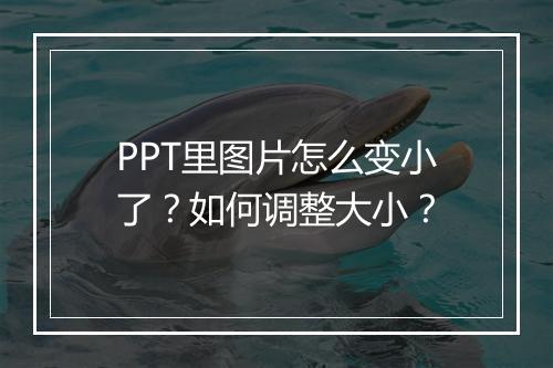 PPT里图片怎么变小了？如何调整大小？
