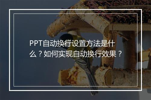PPT自动换行设置方法是什么？如何实现自动换行效果？