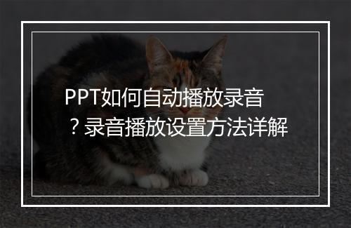 PPT如何自动播放录音？录音播放设置方法详解