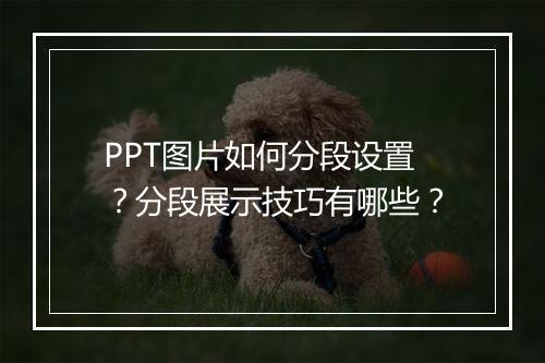 PPT图片如何分段设置?分段展示技巧有哪些?