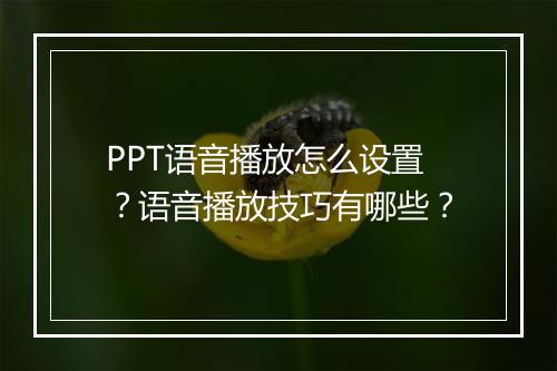 PPT语音播放怎么设置？语音播放技巧有哪些？