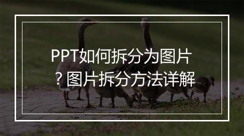 PPT如何拆分为图片？图片拆分方法详解