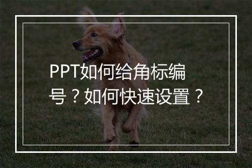 PPT如何给角标编号？如何快速设置？