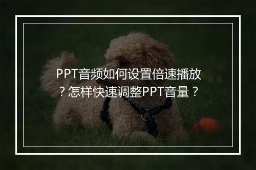 PPT音频如何设置倍速播放？怎样快速调整PPT音量？
