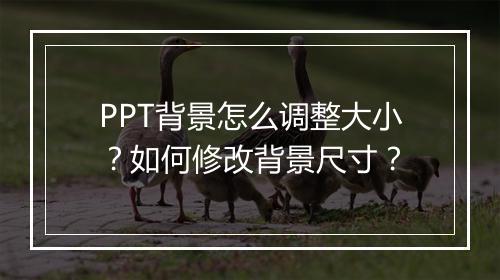 PPT背景怎么调整大小？如何修改背景尺寸？