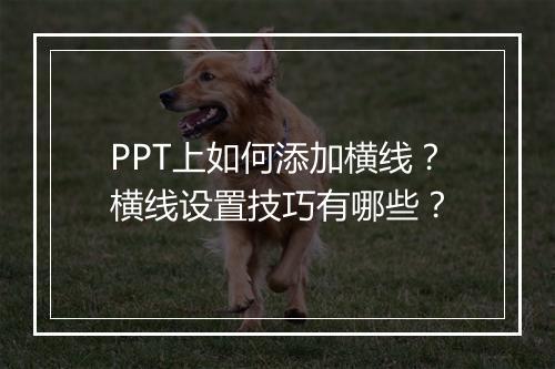 PPT上如何添加横线？横线设置技巧有哪些？