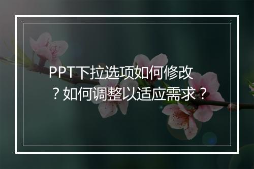PPT下拉选项如何修改？如何调整以适应需求？