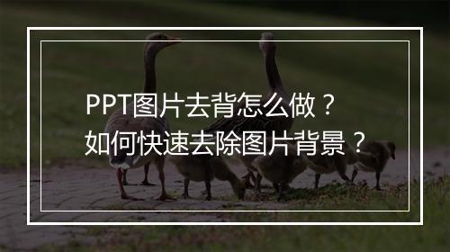PPT图片去背怎么做？如何快速去除图片背景？