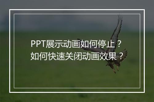 PPT展示动画如何停止？如何快速关闭动画效果？
