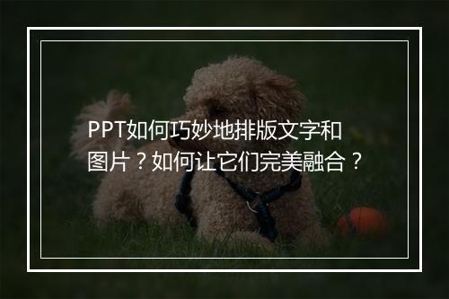 PPT如何巧妙地排版文字和图片？如何让它们完美融合？