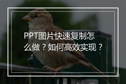 PPT图片快速复制怎么做？如何高效实现？
