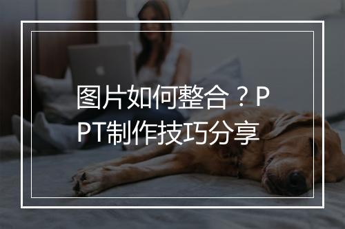 图片如何整合？PPT制作技巧分享