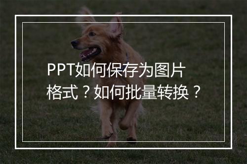 PPT如何保存为图片格式？如何批量转换？