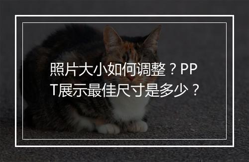 照片大小如何调整？PPT展示最佳尺寸是多少？