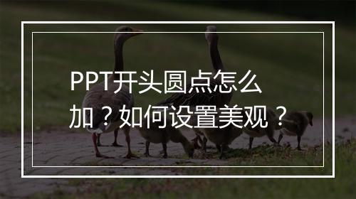 PPT开头圆点怎么加？如何设置美观？