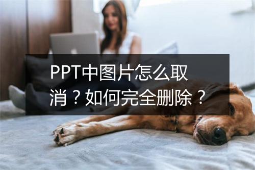 PPT中图片怎么取消？如何完全删除？