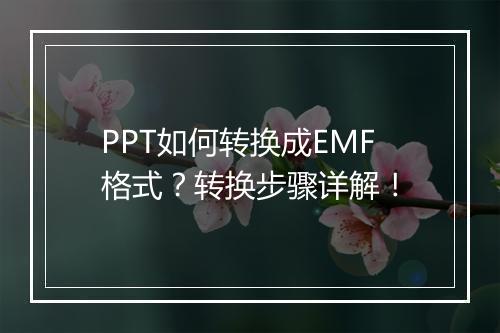 PPT如何转换成EMF格式？转换步骤详解！