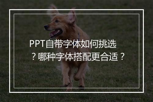 PPT自带字体如何挑选？哪种字体搭配更合适？