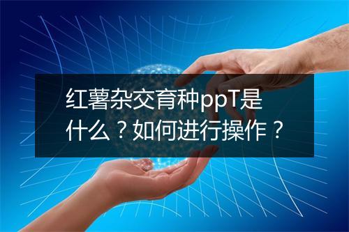 红薯杂交育种ppT是什么？如何进行操作？