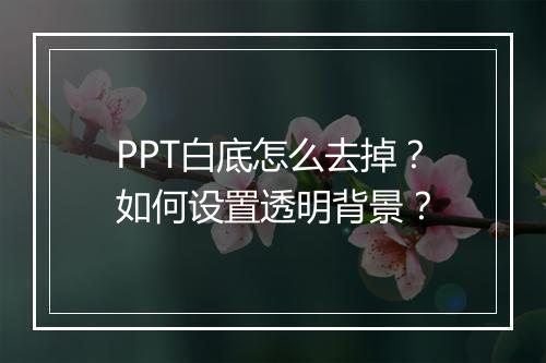 PPT白底怎么去掉？如何设置透明背景？