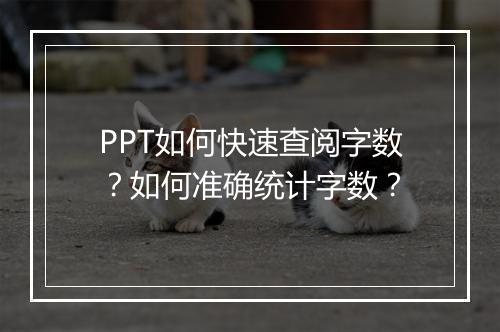 PPT如何快速查阅字数？如何准确统计字数？
