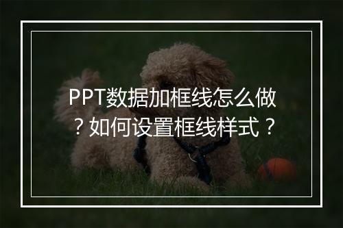 PPT数据加框线怎么做？如何设置框线样式？
