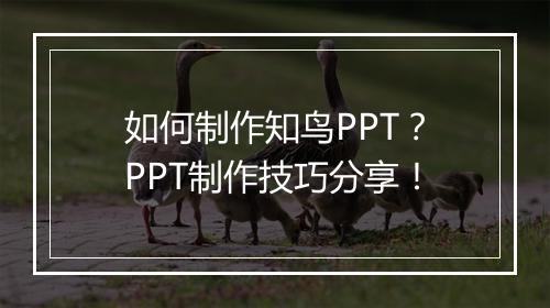 如何制作知鸟PPT？PPT制作技巧分享！
