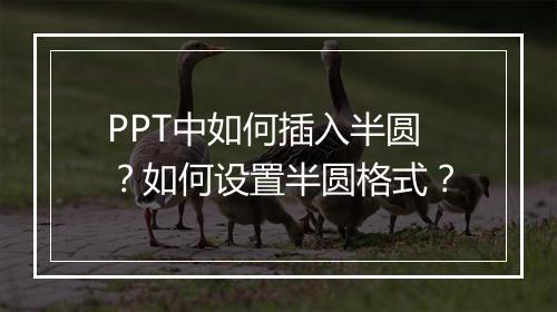 PPT中如何插入半圆？如何设置半圆格式？