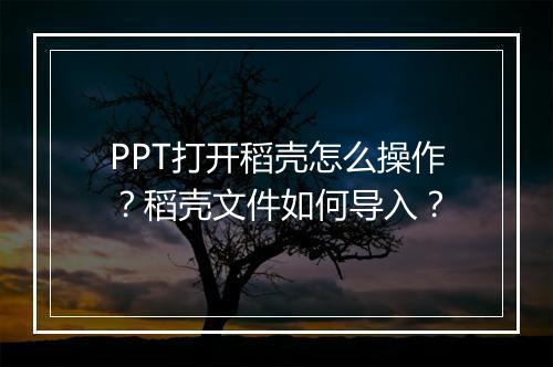 PPT打开稻壳怎么操作？稻壳文件如何导入？