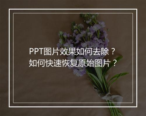 PPT图片效果如何去除？如何快速恢复原始图片？