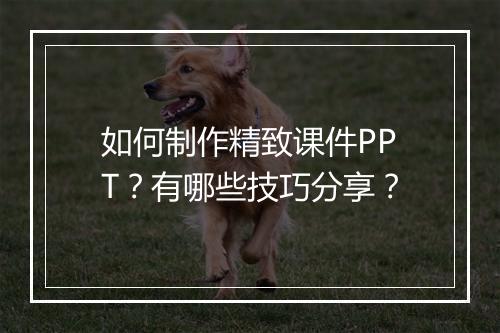 如何制作精致课件PPT？有哪些技巧分享？