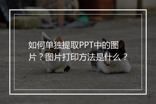如何单独提取PPT中的图片?图片打印方法是什么?