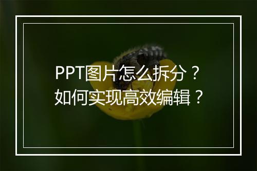PPT图片怎么拆分？如何实现高效编辑？
