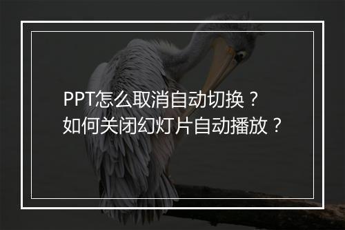 PPT怎么取消自动切换？如何关闭幻灯片自动播放？