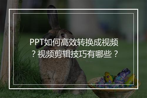 PPT如何高效转换成视频？视频剪辑技巧有哪些？