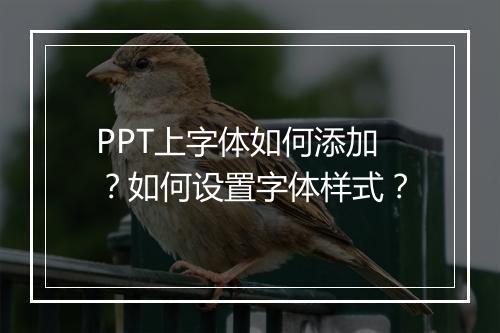 PPT上字体如何添加？如何设置字体样式？