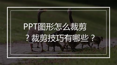 PPT图形怎么裁剪？裁剪技巧有哪些？