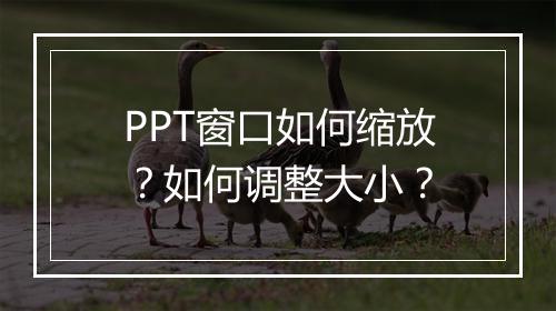 PPT窗口如何缩放？如何调整大小？