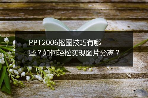 PPT2006抠图技巧有哪些？如何轻松实现图片分离？