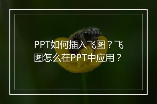 PPT如何插入飞图？飞图怎么在PPT中应用？