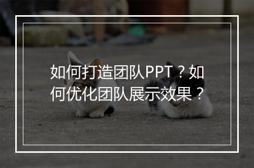 如何打造团队PPT？如何优化团队展示效果？