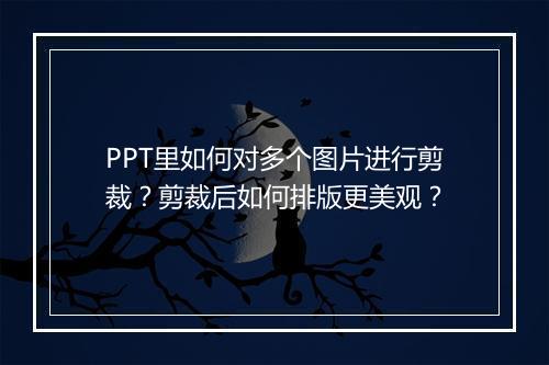 PPT里如何对多个图片进行剪裁？剪裁后如何排版更美观？