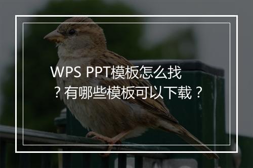 WPS PPT模板怎么找？有哪些模板可以下载？