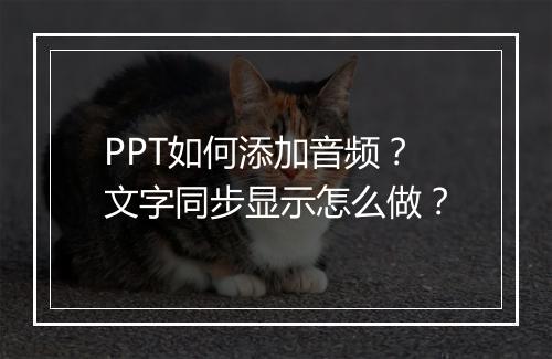 PPT如何添加音频？文字同步显示怎么做？