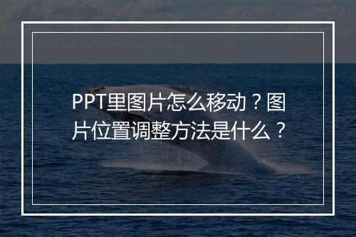 PPT里图片怎么移动？图片位置调整方法是什么？