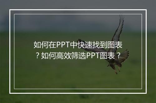 如何在PPT中快速找到图表?如何高效筛选PPT图表?