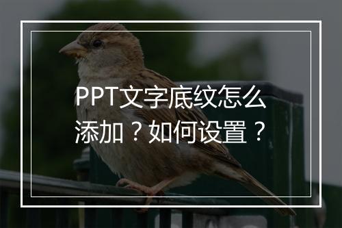 PPT文字底纹怎么添加？如何设置？